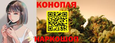 гашик Можга