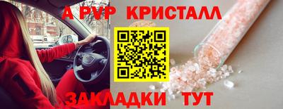гашик Можга