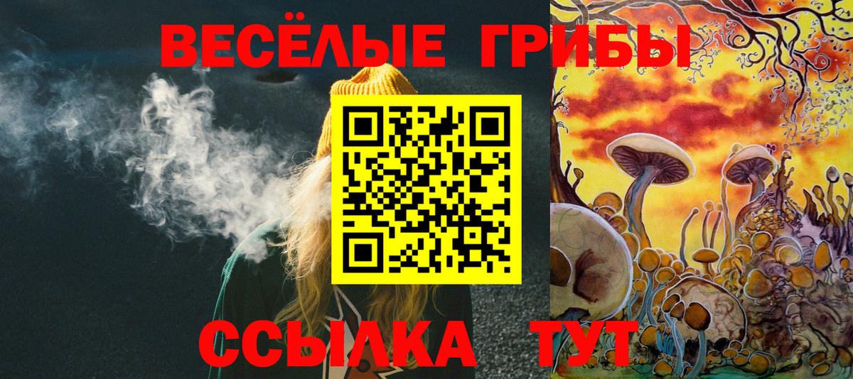 Чайковский  Галлюциногенные грибы MAGIC MUSHROOMS  Вход с VPN  Галлюциногенные грибы ЛСД 